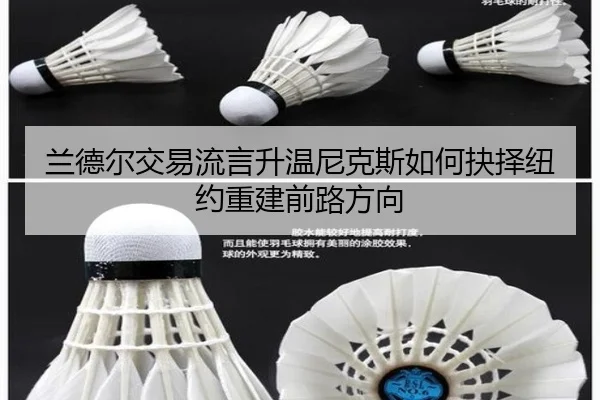 兰德尔交易流言升温尼克斯如何抉择纽约重建前路方向