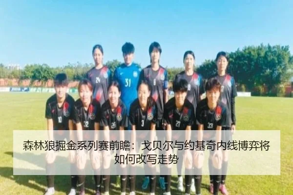 森林狼掘金系列赛前瞻：戈贝尔与约基奇内线博弈将如何改写走势
