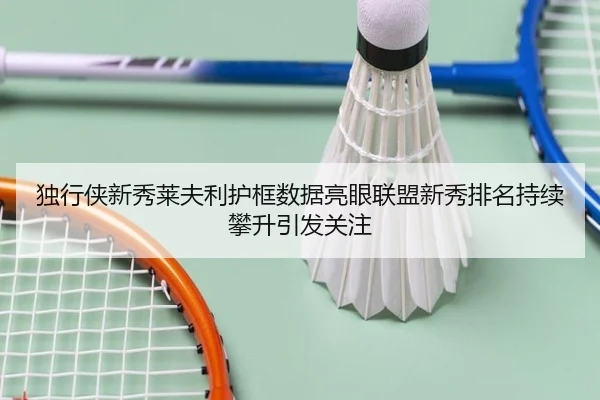独行侠新秀莱夫利护框数据亮眼联盟新秀排名持续攀升引发关注