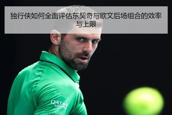 独行侠如何全面评估东契奇与欧文后场组合的效率与上限